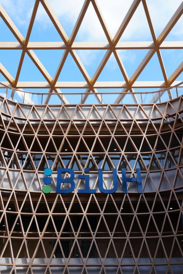 BiUH的多元文化学生