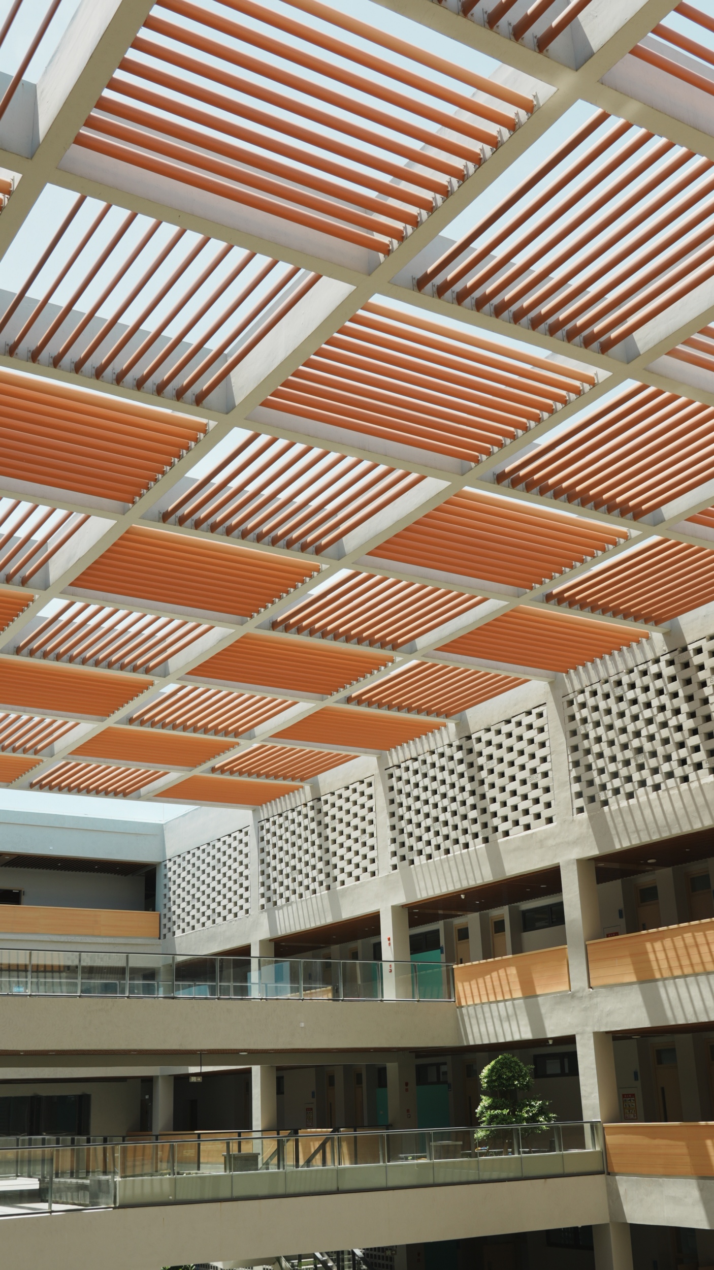 BiUH的多元文化学生